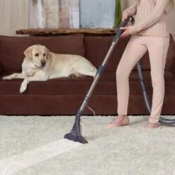 THOMAS DryBox Amfibia Pet -Geschäft Für Katzenbedarf 9953282c61e03abd8b9e8af05edae29417570062 1406734 de DE 1c8fb73e21f9aae62063930fedd2d58afb94e8aanSOWPf