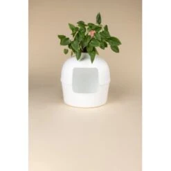 RHR Quality Katzentoilette Flower XXL -Geschäft Für Katzenbedarf 9a175089ef2e18d9c2c6261d746d3512930c312f 1641853 de DE fe53414878bfaf3647b8be741b079914a6bd2e93iOsifJ