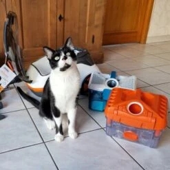 THOMAS Staubsauger -Geschäft Für Katzenbedarf 9c1c711bdc998f487ed8c24bc96dc66adbb9a8a0 1406733 de DE c0788b12d8ca7e012c5c5d1a7cf9568fa3623544LvViH7