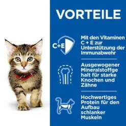 Hill's Science Plan Healthy Cuisine Kitten Ragout Multipack 24x80 G 11 Hill's Science Plan Healthy Cuisine Kitten Ragout Multipack 24x80 G -Geschäft Für Katzenbedarf 9cc7542d56e101119b2981756afe9af54d6b4d74 1386411 de DE hills 5