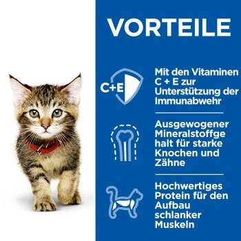 Hill's Science Plan Healthy Cuisine Kitten Ragout Multipack 24x80 G 6 Hill's Science Plan Healthy Cuisine Kitten Ragout Multipack 24x80 G – Bild 4