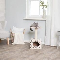 Trixie Kratzbaum Zamora Cat Paws 7 Trixie Kratzbaum Zamora Cat Paws -Geschäft Für Katzenbedarf 9ed9306b3f70bbbb75e24ede72d139e1f53724d2 174165cf4bdac761770818865a5fc15c92e12097
