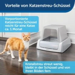 PetSafe ScoopFree Katzentoilette, Haube -Geschäft Für Katzenbedarf 9f53ca90b171b847d777a219cd590baeb64c7e15 1368110 de DE be1af9fc2226731c8a8ce64e8c71ecd612a085e0SNiC7j