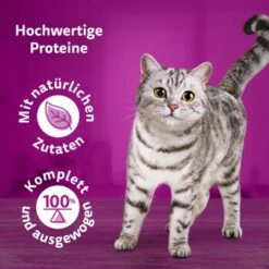 Whiskas Pure Delight Mega Pack Geflügel Ragout In Gelee 40 X 85g -Geschäft Für Katzenbedarf 9f640c36363dfb61f5b5632a4b10e09a36dea899 1410723 de DE Whiskas2 1