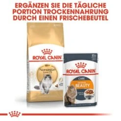 ROYAL CANIN Norwegian Forest Adult 10 Kg 11 ROYAL CANIN Norwegian Forest Adult 10 Kg -Geschäft Für Katzenbedarf a02b9db4fbab44608d8f96a75fee25646abd3ee2 af41e3357e03e3d428ca315b755dc856d14ee9c9
