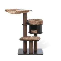 MORE Kratzbaum George -Geschäft Für Katzenbedarf a159d2e2163882e1265ed6aa49ede2453a381e6d de94c492d7d58c4ec00f4bfb2df8788874e017b9