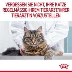 ROYAL CANIN Appetite Control Care 10 Kg 23 ROYAL CANIN Appetite Control Care 10 Kg -Geschäft Für Katzenbedarf a38fedb7eb3a8d9f0c3a1f5c31e35d7cfc68a773 1343821 9