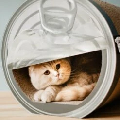 District 70 CAN Cardboard 9 District 70 CAN Cardboard -Geschäft Für Katzenbedarf a4cd0fa7850dfd13b737775762ce59afa0fa6bcc dc81845d134bfb19e2eca4e5bc9344d6856acd6a