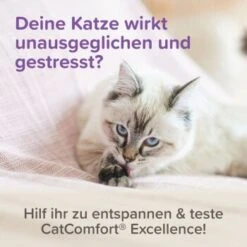Beaphar CatComfort Excellence Nachfüll-Flakon Für Verdampfer -Geschäft Für Katzenbedarf a8613b584df98a596d32ec535fff51094d4ea86c 1416647 1 3