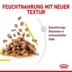 ROYAL CANIN SENSORY Smell In Soße Für Wählerische Katzen 12x85g 11 ROYAL CANIN SENSORY Smell In Soße Für Wählerische Katzen 12x85g -Geschäft Für Katzenbedarf a86352468fe9df558f971b2826cf8a2c3c96db24 e8cfb3af270c23af70279408fd79e1fcdbf01aec