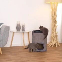 Lionto 50cm Kratztonne Mit Sisal Kratzturm Grau -Geschäft Für Katzenbedarf a86444f992595dab6c432c59c00489ae8f26170d 1657063 de DE 73e2d8f267fbc6a643c9e6451e54e96ce9d7adfdQrvB4e