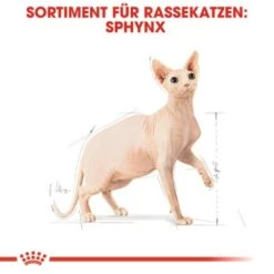 ROYAL CANIN Sphynx Adult 10 Kg -Geschäft Für Katzenbedarf a8cac64f1ab197f81295c694045c859b936cf469 3d2d3e46b1efb06d8dd5982093aa1fc1a81b6f69