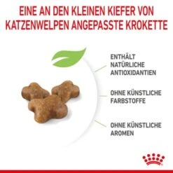 ROYAL CANIN Kitten 4 Kg 21 ROYAL CANIN Kitten 4 Kg -Geschäft Für Katzenbedarf a8df74b6725246cc1c5fa7ed87e8fdc0a4cfc24f 3182550702973 6