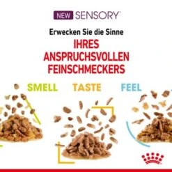 ROYAL CANIN SENSORY Smell Taste Feel Multipack In Soße 12x85g -Geschäft Für Katzenbedarf a9a771645f2a1a144deeeb087d684c4ad698eaa7 88dd5e1dde5216e725cdcdf2d5af0e877950757b
