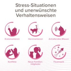 Beaphar CatComfort Excellence Nachfüll-Flakon Für Verdampfer -Geschäft Für Katzenbedarf aa6740035f99902181a1da29aff4eee13880e36f 1416647 1 2