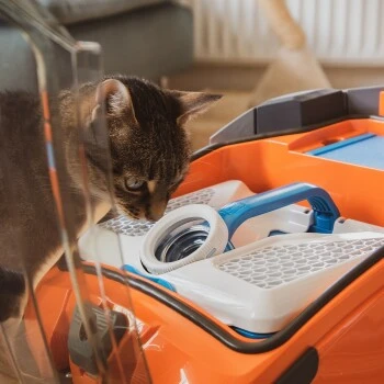 THOMAS AQUA+ Pet & Family 12 THOMAS AQUA+ Pet & Family – Bild 10