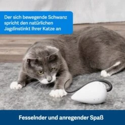PetSafe Automatisches Katzenspielzeug RoloRat -Geschäft Für Katzenbedarf b65e953878b463eb5125c940634b84e8b7c79a3f 1351522 de DE 3daf7dbb27d01ce7d63f06677a32dd6cde28abb9X2tLJP