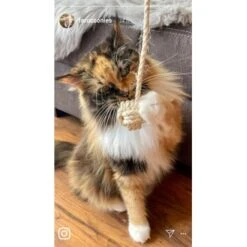 Kater Kasimir Deluxe Set Mit 9 Beliebten Katzenspielzeugen Aus Naturmaterial Und Handgemachtem CATMOM Armband -Geschäft Für Katzenbedarf b933584b7dcd56603dddd340f05442bfffc43e18 1408141 de DE 8e1afbeea10c4c53b2e3c89a347993a00031803ayqowzr