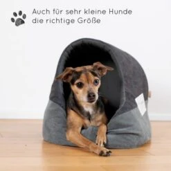 KaraLuna Katzenhöhle 12 KaraLuna Katzenhöhle -Geschäft Für Katzenbedarf b9e0f78e84940fe27a91248cd7c8880bf5f0129d 1407464 de DE 9a2a2969f12da9c95b07df8a19892b19411f8b3d9QK17z