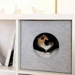 Lionto Katzenhöhle Aus Filz + Kissen - Regalhöhle Hellgrau 11 Lionto Katzenhöhle Aus Filz + Kissen - Regalhöhle Hellgrau -Geschäft Für Katzenbedarf ba38cb426515f287554cca1376691e8fc1f2c06c 1657087 de DE 1787a06f3e708c0b40c07cda94f11d1c11828f21AhrPBZ