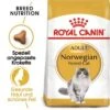 ROYAL CANIN Norwegian Forest Adult 10 Kg 2 ROYAL CANIN Norwegian Forest Adult 10 Kg -Geschäft Für Katzenbedarf bd83a183df54eafc735ca3741efaa322963d8d08 42b902f08d40bd229708b3798bea84cf9f6eb4ae