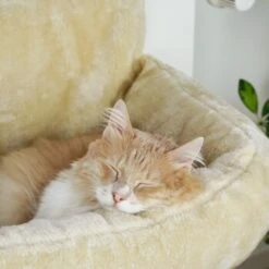 Schlitzohr Heizungsliege Lucky Beige -Geschäft Für Katzenbedarf bdc02033928d033279e49ebefe91371e629dfd2f 1484673 de DE 4daf09016934a9074c92f48c173e840fa6385a4agwWEjb