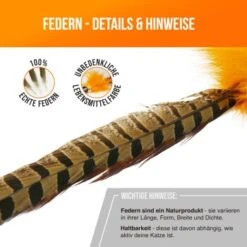 Schlitzohr Federwedel Birdy 3er Pack -Geschäft Für Katzenbedarf bdc9ecaec43f47b36019280ae7e788c534174412 1659562 de DE 36b11fb8804ed0ab3e1a5483fcd8be597379266daxQShR