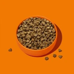 Fred & Felia FELIA Trockenfutter Multiprotein -Geschäft Für Katzenbedarf c0e7edf00eb81880109abeeb4b149f208129ae38 1685923 de DE 2571e79ac1cf719b8f6276a47cae44a955d0512dToxG6q