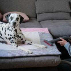 THOMAS AQUA+ Pet & Family 19 THOMAS AQUA+ Pet & Family -Geschäft Für Katzenbedarf c3381bf4158feb85ebfd3f3d8bb59ef108b95290 1408595 de DE f1089c65a30ba894d2939997310129f1b316d2cdCtnGOW