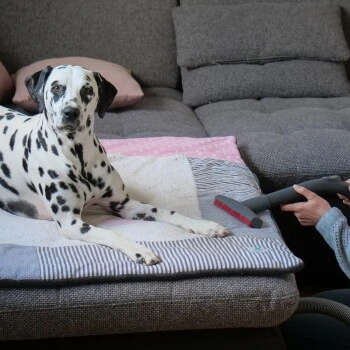 THOMAS AQUA+ Pet & Family 9 THOMAS AQUA+ Pet & Family – Bild 7