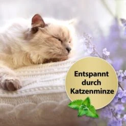 Felisept Home Comfort Nachfüller 45ml -Geschäft Für Katzenbedarf c3ca32397f762e702d9476d8c616da01da1f5e31 1667496 2