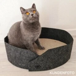 Canadian Cat Company Filzbett Owen Anthrazit -Geschäft Für Katzenbedarf c51998fa819bedfd52e2a067c594ea43b3a89b65 1361006 de DE 07d2361d22a8523e61e4518282ed61e19d2e959aqnQs4c