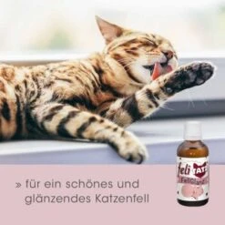FeliTATZ FellGlanz 10 FeliTATZ FellGlanz -Geschäft Für Katzenbedarf c632389ff5554b3f77a4c07b5dcd4d35f428a2c1 1666313 de DE aef5012fb4dd575d53ef4492b6faf7c4f11752ddfl85CX