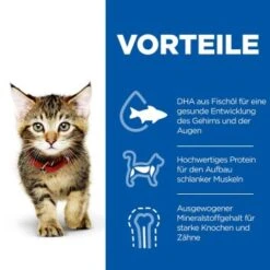 Hill's Science Plan Kitten Thunfisch 7 Kg 12 Hill's Science Plan Kitten Thunfisch 7 Kg -Geschäft Für Katzenbedarf c6fb28c1a799efc2b3725ee5b7be61613fad29ae 52742024431 4