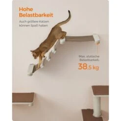 FEANDREA Clickat Katzen-Kletterhängematte 14 FEANDREA Clickat Katzen-Kletterhängematte -Geschäft Für Katzenbedarf c7ac0035e3564741d097d2ee84db69558fcbeb36 1681422 de DE 69b299a2a0b5f1d93e61abe664375afb5e8ca6e9sZQMir