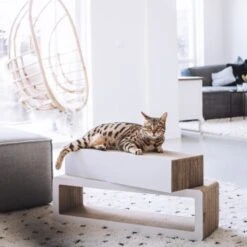 District 70 STRETCH 11 District 70 STRETCH -Geschäft Für Katzenbedarf c7e217e189c4c0bb9b1b8ed3223bf45ded06649b 86c2b7def285f0c56fc99115c277d70af97993e8