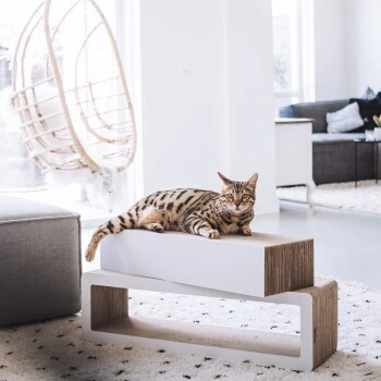 District 70 STRETCH 7 District 70 STRETCH – Bild 5