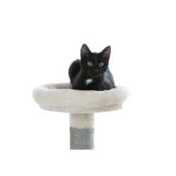 Kerbl Kratzbaum Creative Adventure -Geschäft Für Katzenbedarf cd831c82afd6be187c9e1aebf4a78e2ebe782c44 ce7c27aa5a680126ca08b882797ce2b921ff7a47