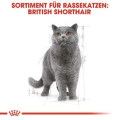 ROYAL CANIN British Shorthair 12x85g 10 ROYAL CANIN British Shorthair 12x85g -Geschäft Für Katzenbedarf cef864a6d96bd724a83d6f9b8b025859b152e48f 162627d7285521633865f39e7637e23ccc5e9a86
