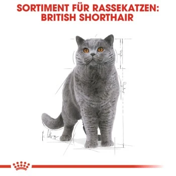 ROYAL CANIN British Shorthair 12x85g 5 ROYAL CANIN British Shorthair 12x85g – Bild 3