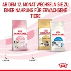 ROYAL CANIN Kitten 4 Kg 17 ROYAL CANIN Kitten 4 Kg -Geschäft Für Katzenbedarf cf133300f1a1c045b6143772211651d61c06ad62 3182550702973 7