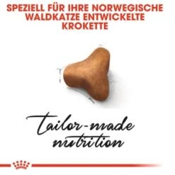 ROYAL CANIN Norwegian Forest Adult 10 Kg 15 ROYAL CANIN Norwegian Forest Adult 10 Kg -Geschäft Für Katzenbedarf d10cae32374c526515d65c11aa090e1bcea6d2f3 095e16b98db23d26bf2708e66433860bed6f0d70