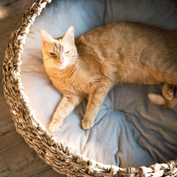 District 70 COCOON Natural M 6 District 70 COCOON Natural M – Bild 4