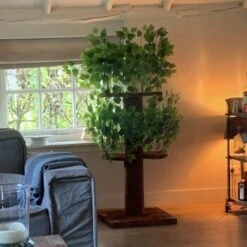 RHR Quality Kratzbaum Design Natural Leaves 13 RHR Quality Kratzbaum Design Natural Leaves -Geschäft Für Katzenbedarf d32ab4bff9ec3b85ae4c7c42fe25c58d6e1cdac6 1651772 de DE ce58d8382b7df57150df15145bf1bd288f24ba1aaicjgL