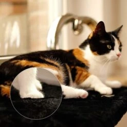 Lionto Katzenliege Für Fensterbank Schwarz 8 Lionto Katzenliege Für Fensterbank Schwarz -Geschäft Für Katzenbedarf d381822ef5a95c89b1fff706447b9d97f29f0c7f 1665905 de DE 5457dd2248cdfada4018574e89708e1db05800ecjUEbgx