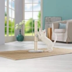 AniOne Kratzsäule Pepe&Kitty 9 AniOne Kratzsäule Pepe&Kitty -Geschäft Für Katzenbedarf d5701c6c4622e5291ba55a46423a44f2481c56c2 484c1f099650b6711f02ae3db97410a6f9af5da0