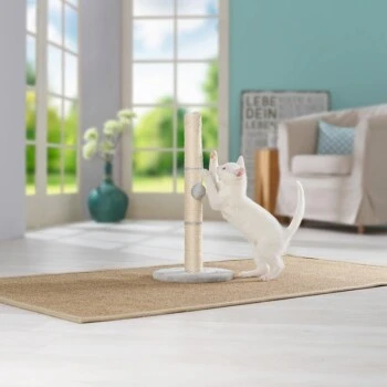 AniOne Kratzsäule Pepe&Kitty 5 AniOne Kratzsäule Pepe&Kitty – Bild 3