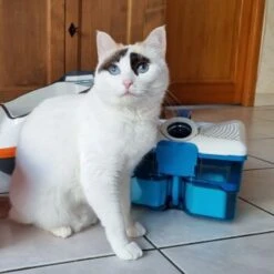 THOMAS Staubsauger -Geschäft Für Katzenbedarf d74e3cdb93ec3dcec33da8a346880210d1823b1e 1406733 de DE 817045830cc32e31da1f6ec74c9727ecafc6b086XIONN0