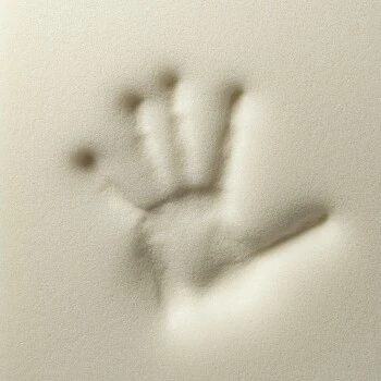 Rexproduct ORI Orthopädische Matratze Dunkelgrün S 4 Rexproduct ORI Orthopädische Matratze Dunkelgrün S – Bild 2