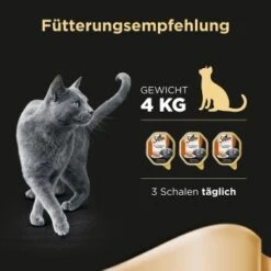Sheba Classics In Pastete 22x85g Mit Ente & Huhn 10 Sheba Classics In Pastete 22x85g Mit Ente & Huhn -Geschäft Für Katzenbedarf db3ddb8a2d5a3d236d7dcc9f93be382078be15f4 cfab620511bd0eb34d47d0f7770d3ab65b34729a